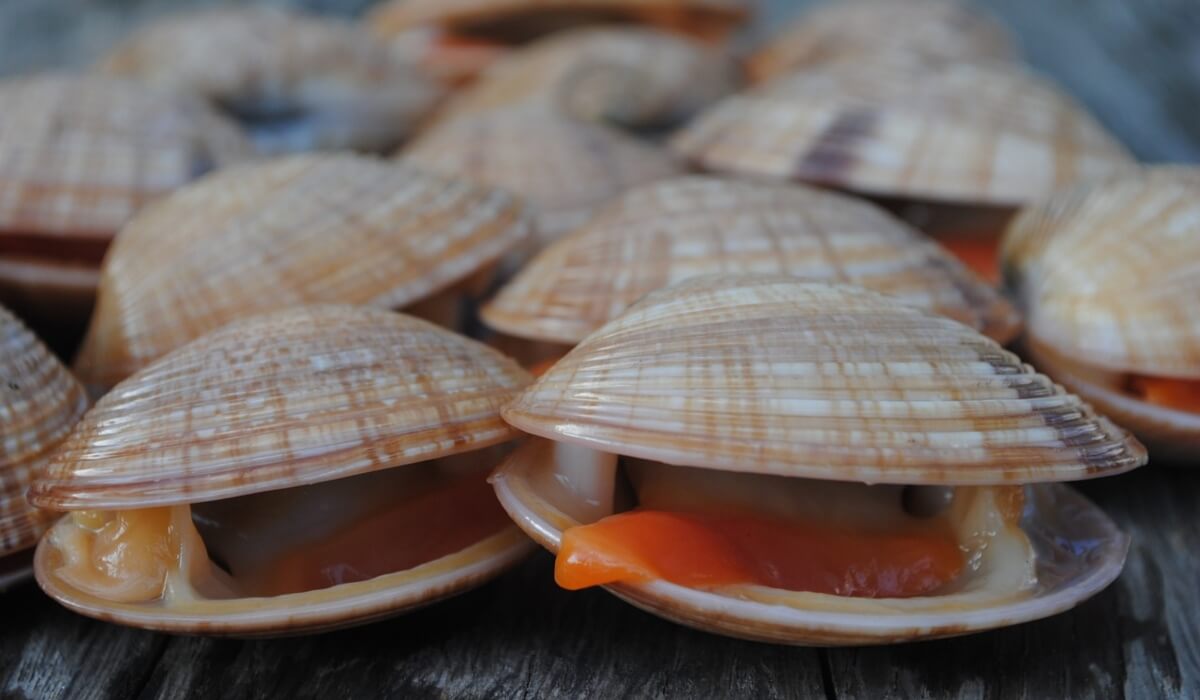 Shellfish Secrets: Mastering Seafood from Sea to Kitchen